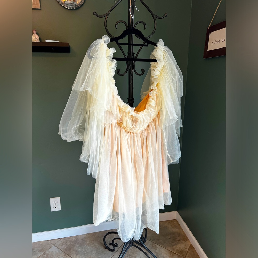 Maternity Tulle Dress